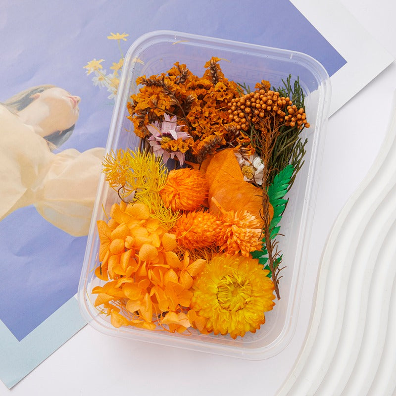 Wholesale DIY Handmade Mixed Dried Flowers Boxed Material Package Real Flowers Natural Air-dried Decorative Ornaments Dripping Glue Flower Material